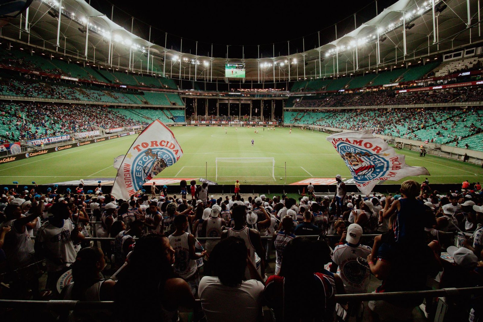 Multidão de torcedores cantando em uníssono e celebrando a classificação da seleção para a Copa do Mundo