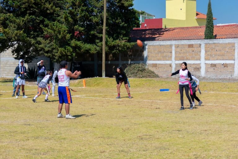 Estádio de futebol em tom editorial neutro